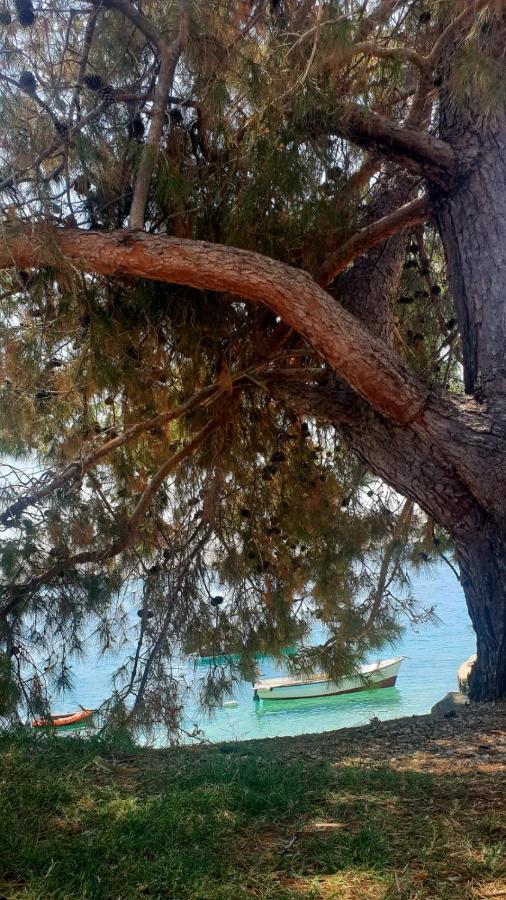 Apartman Jopa Pag Town Dış mekan fotoğraf